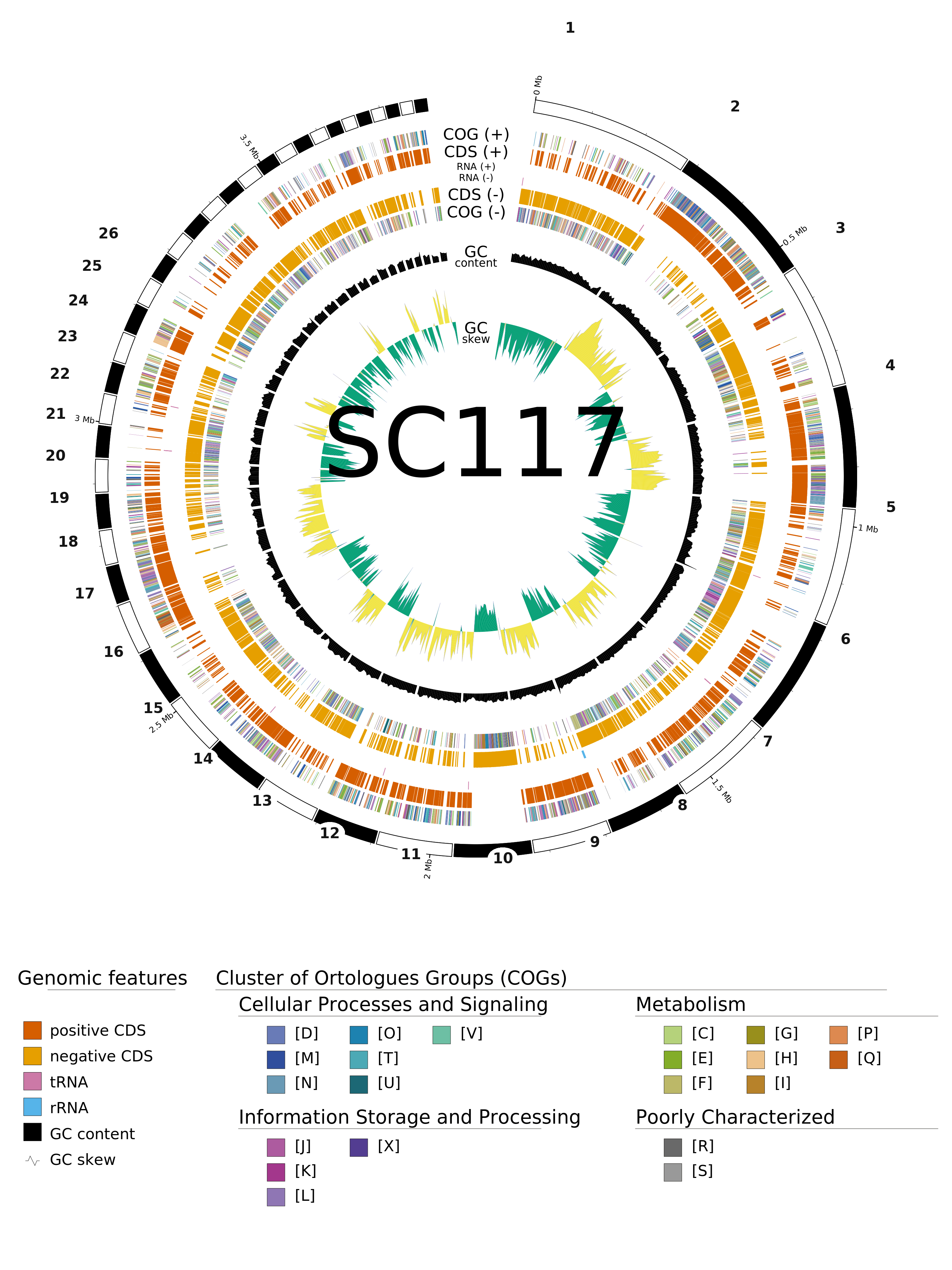 Circular genome map of the SC117 draft assembly rendered by GenoVi (Circos): a numbered contig ring with a cumulative Mb scale, CDS coloured by COG category on both strands, tRNA/rRNA, GC content and GC skew, with a full colour legend