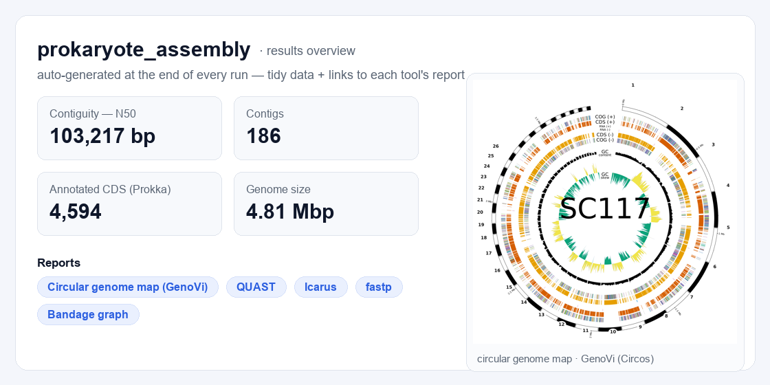 bioflow results overview: labelled metrics (N50, contigs, CDS, genome size), one-click links to each tool's report, and the embedded GenoVi circular genome map